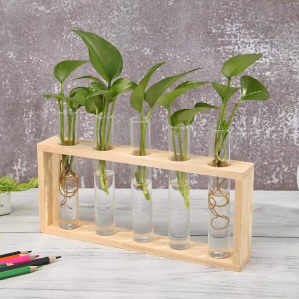 Vase déco hydroponique - tubes à essais – Image 2