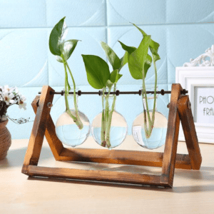 Vase hydroponique en bulle - bois foncé