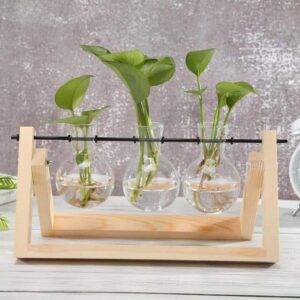 Vase hydroponique en bulle - bois clair