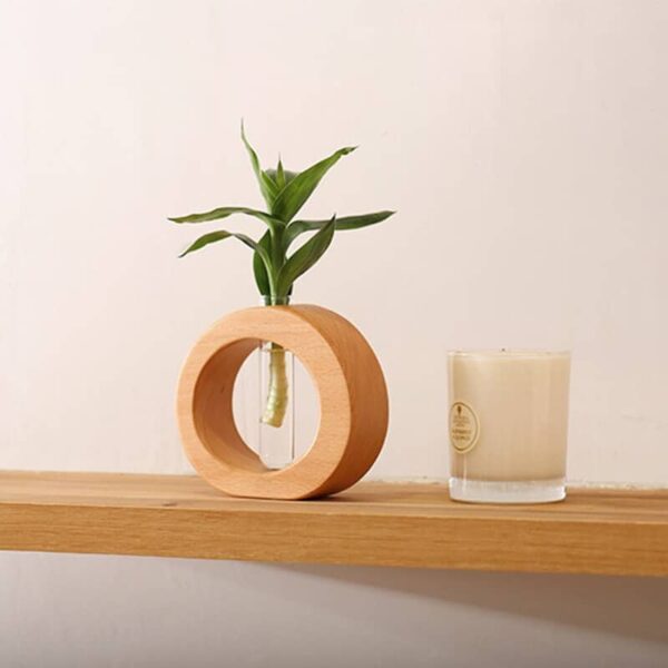 Vase Hydroponique en bois rond – Image 5