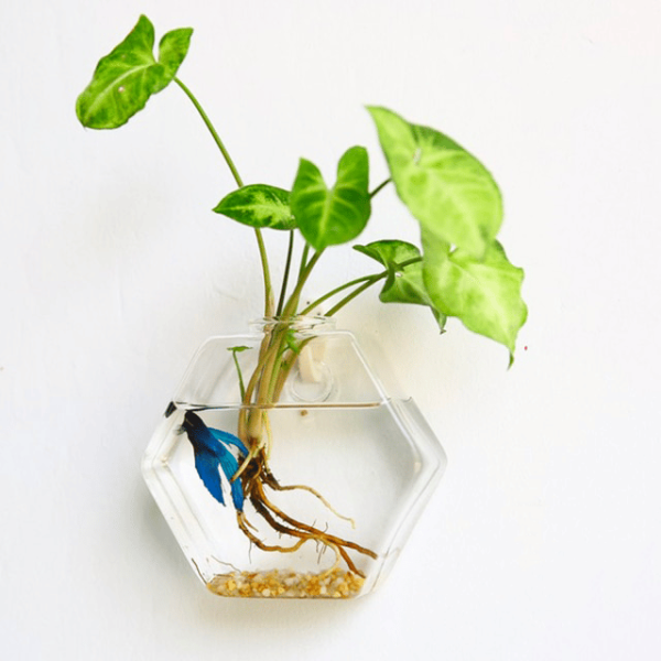 vase mural en forme d'hexagone