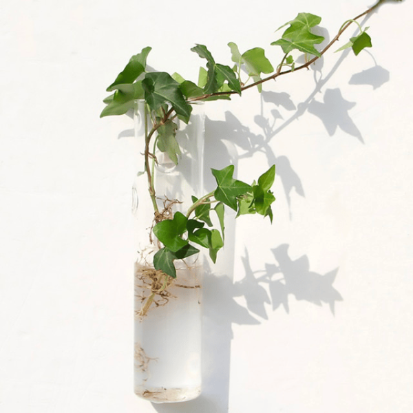 vase mural en forme de cylindre