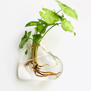 vase mural en forme de coeur
