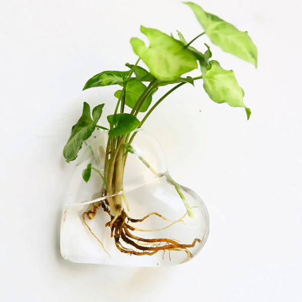 vase mural en forme de coeur
